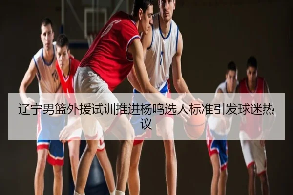 辽宁男篮外援试训推进杨鸣选人标准引发球迷热议